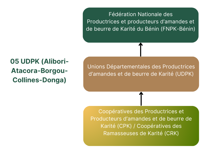 FNPK-Bénin | qui sommes nous ?